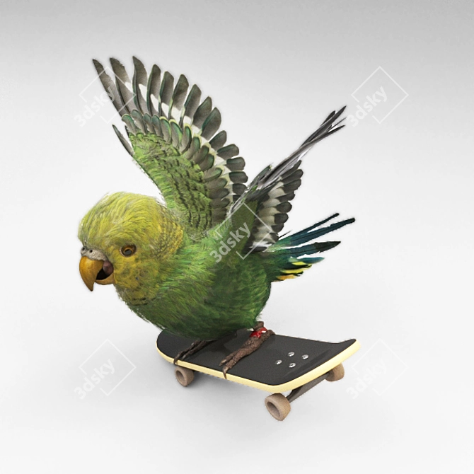 Geometric Skateboarding Parrot 3D model image 1