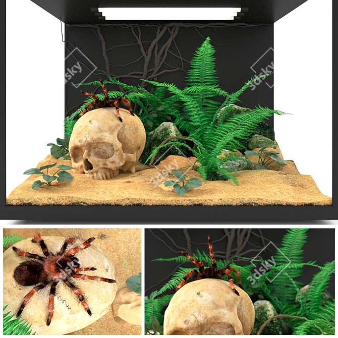 Sleek Tarantula 3D Render 3D model image 1