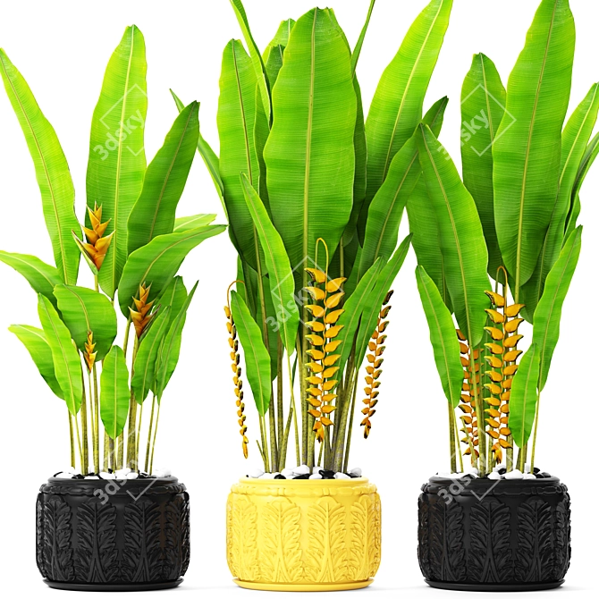 Tropical Bliss: Heliconia Collection 3D model image 1