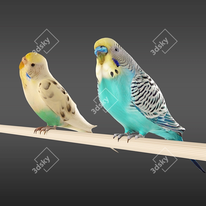 Ferplast Hemmy Budgie Cage: Iva and Lavrusha - Bundle including 3D models 3D model image 2