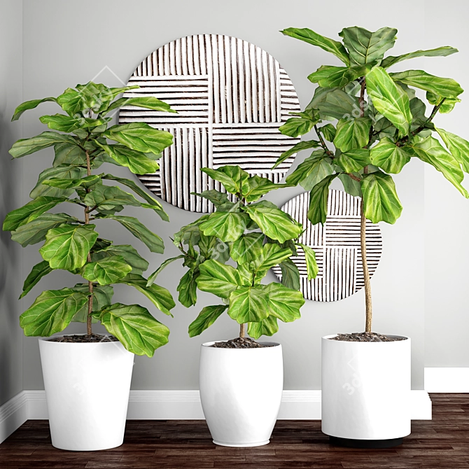 Graceful Ficus Lyrata Assortment 3D model image 1