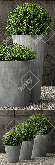 Estate Zinc Round Planters | Restoration Hardware 3D model image 2