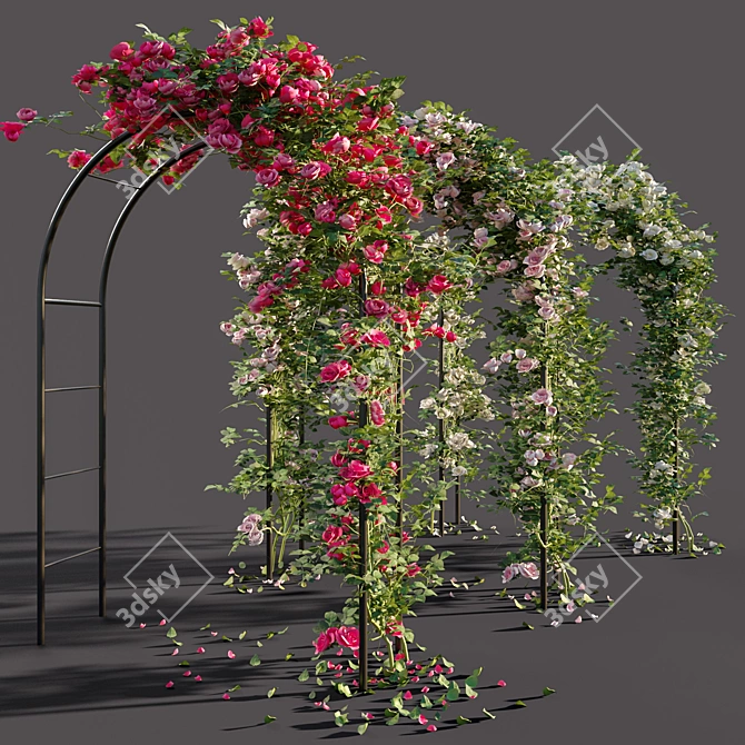 Rose-Arched Beauty 3D model image 1