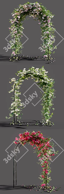 Rose-Arched Beauty 3D model image 2