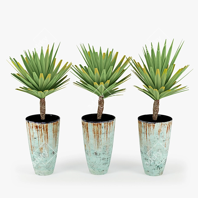 Realistic Palm Tree 3D Model 3D model image 1