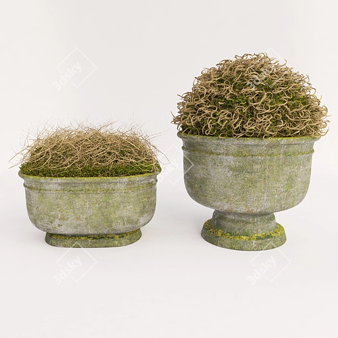 Nature's Delight: Decor Set (2 Pots) 3D model image 1