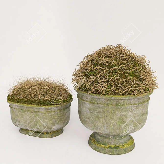 Nature's Delight: Decor Set (2 Pots) 3D model image 2