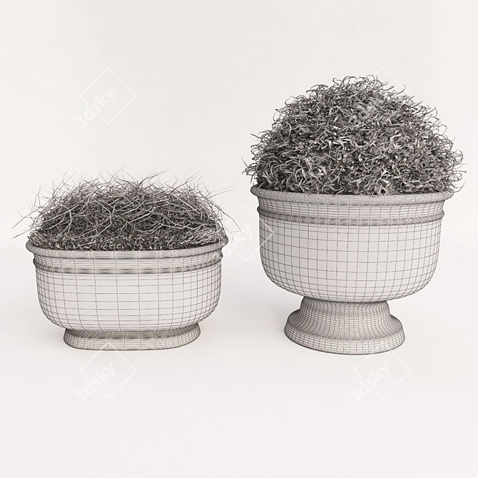 Nature's Delight: Decor Set (2 Pots) 3D model image 3