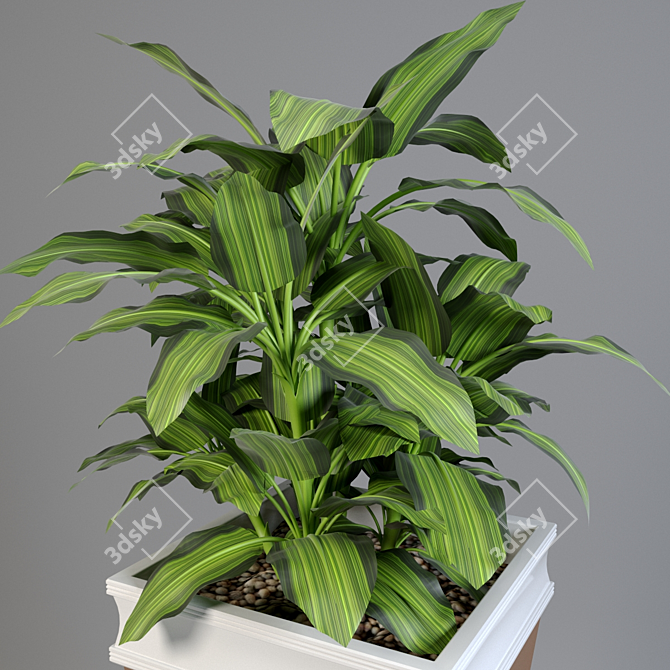 Corona Kashpo Tycoon: Elegant and Green 3D model image 2