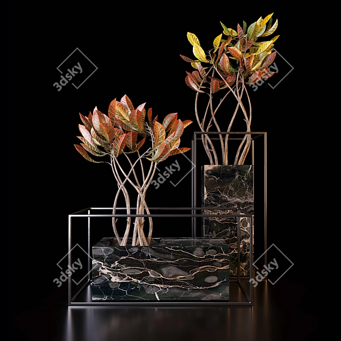 Croton Trees: Vibrant Leaf Colors 3D model image 2