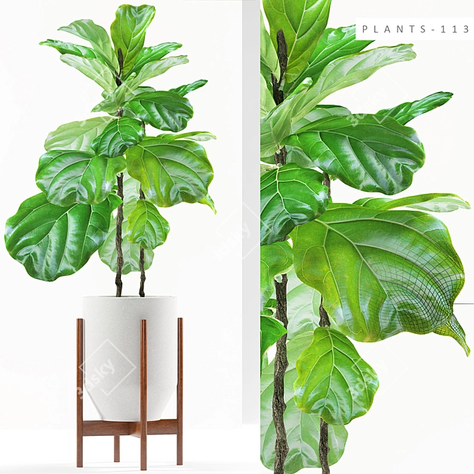 Greenery Bundle: 113 Plants 3D model image 1