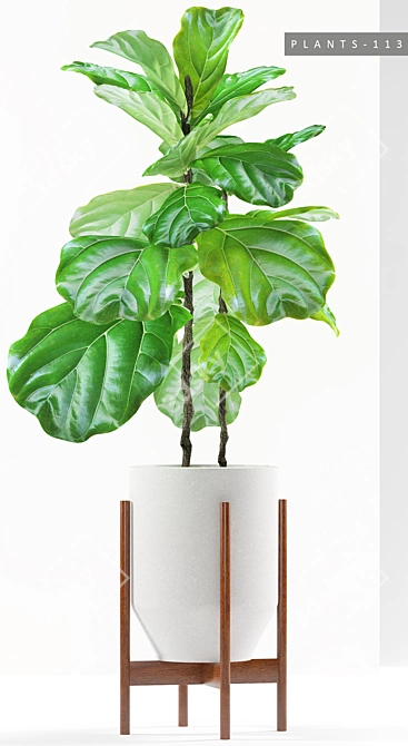 Greenery Bundle: 113 Plants 3D model image 2