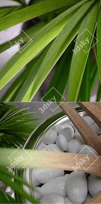 Tropical Oasis: Trio of Potted Palms 3D model image 2