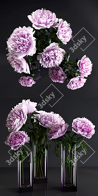 Elegant Peonies Bouquet 3D model image 2
