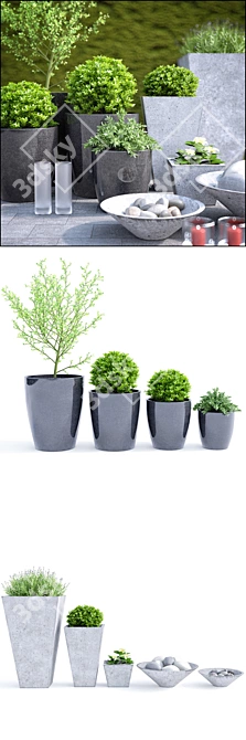 Modern Planters for Stylish Spaces 3D model image 2