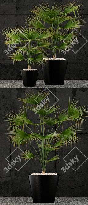 3D Models: Restoration Hardware Caldera Planter 3D model image 2