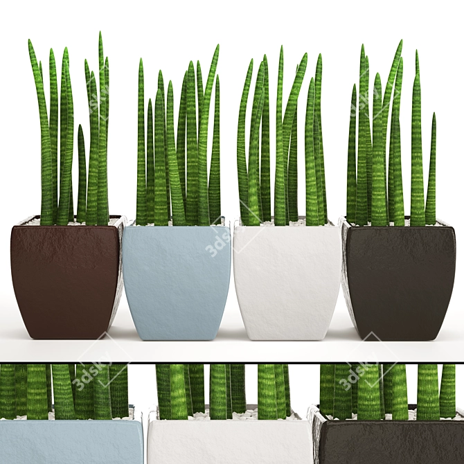 Stunning Sansevieria: A Pot Full 3D model image 1