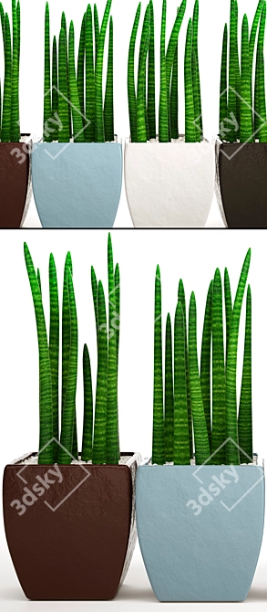 Stunning Sansevieria: A Pot Full 3D model image 2