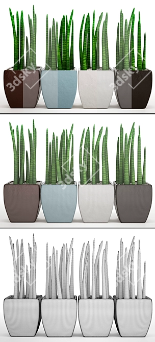 Stunning Sansevieria: A Pot Full 3D model image 3