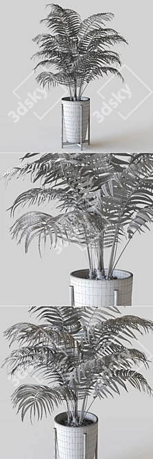 Tropical Palm: Green Elegance in Pot 3D model image 3