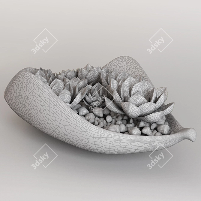 Echeveria Stone Vase 3D model image 3