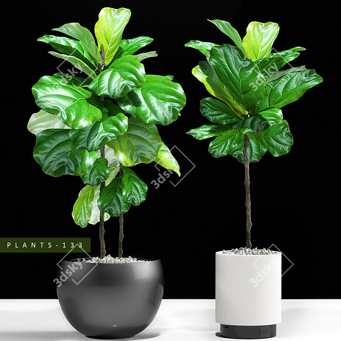 Max 3D Plant Collection 3D model image 1