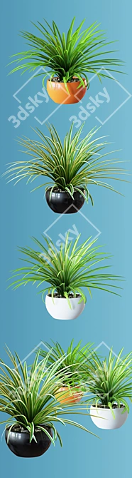 Realistic Home Plant in Multicolored Pots 3D model image 3