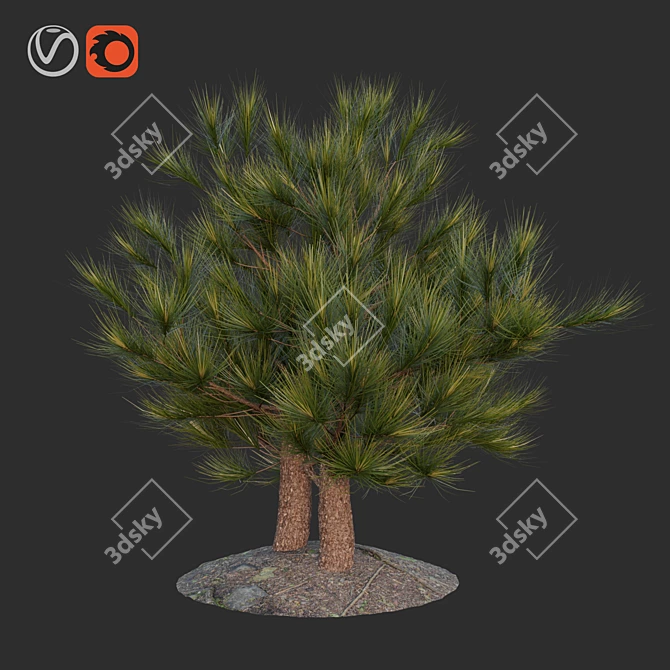 Charming Pine Miniature 3D model image 1