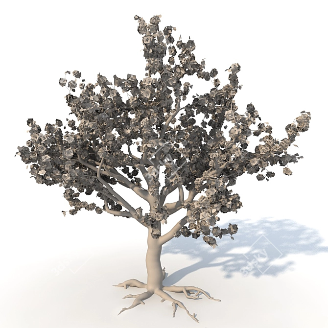 Blooming Sakura Tree 3D model image 2