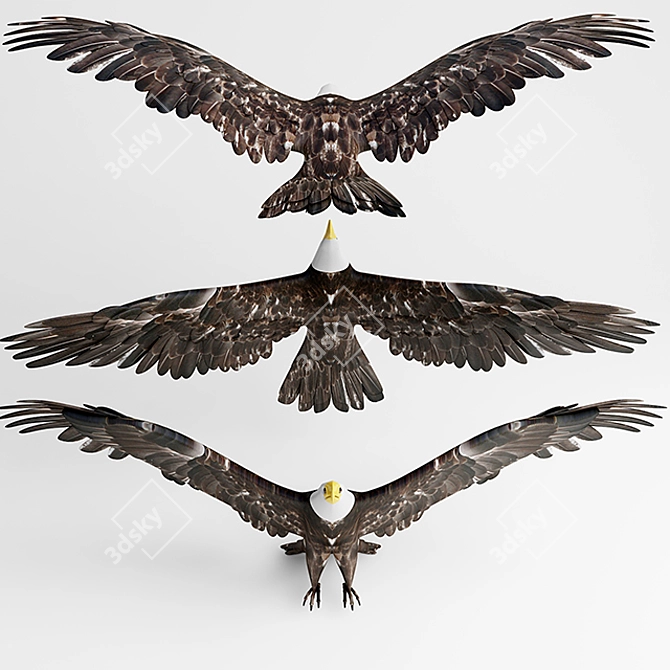 Fierce Falcon: A Powerful and Agile Predator 3D model image 1