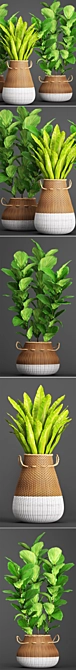 Lush Collection of Leafy Plants 3D model image 2