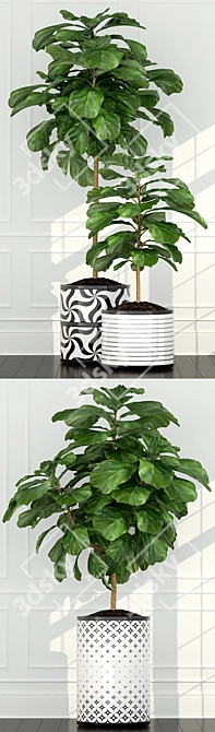 Green Oasis: 63 Unique Plants 3D model image 2