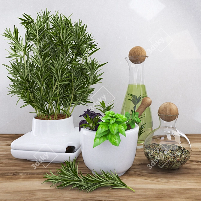 Spice up your decor with Rosemary 3D model image 1