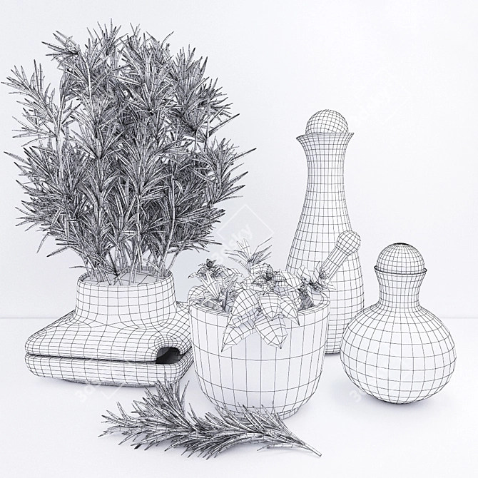 Spice up your decor with Rosemary 3D model image 2