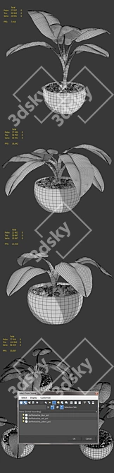 Tropical Room Plant Set 3D model image 2