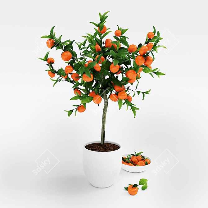 Mini Mandarin Tree: Potted Zen 3D model image 1