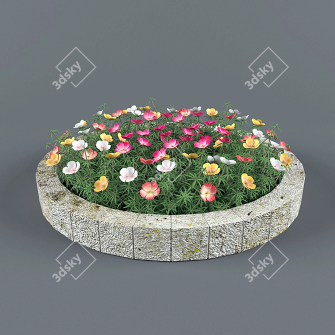 Vibrant Purslane: Eye-catching One-Year Plant 3D model image 1