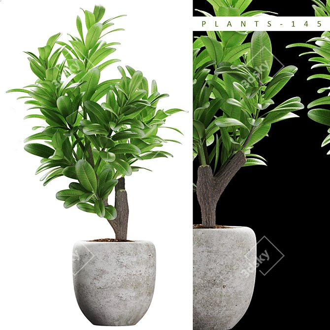 Maximize Your Green Space 3D model image 1