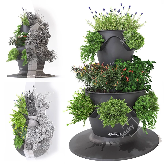 Fresh Harvest: Veggie & Herb Lechuza Set 3D model image 1
