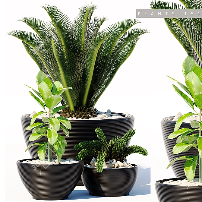Lush Greens Collection: PLANTS 151 3D model image 1