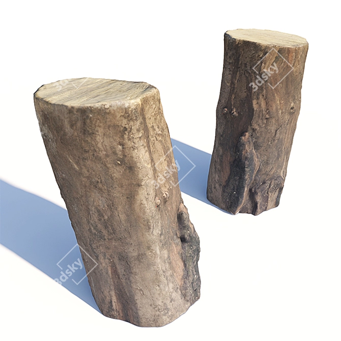 Acacia Stump: Photorealistic 3D Model 3D model image 1