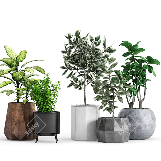 Variety of Plants and Modern Planter 3D model image 1