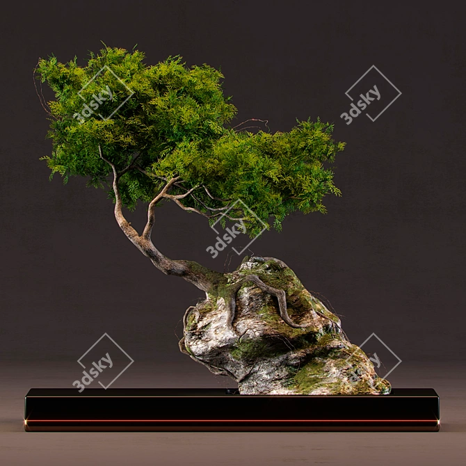 Artistic Bonsai Sculpture 3D model image 1