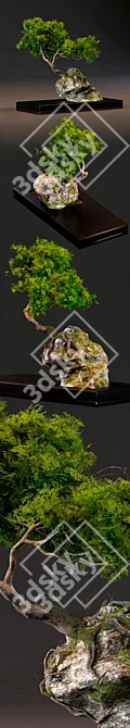 Artistic Bonsai Sculpture 3D model image 2