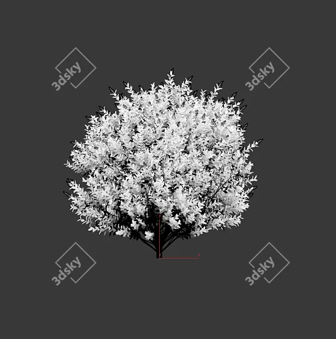 Versatile Ligustrum for Stunning Landscapes 3D model image 3