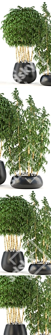 Lush Golden Bamboo Collection: 136 Exquisite Trees 3D model image 2