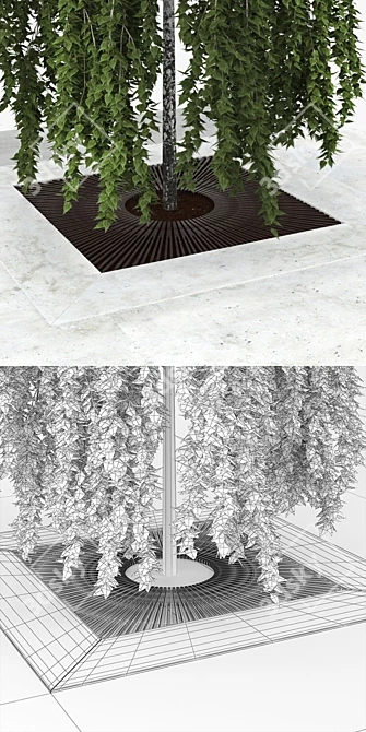 Versatile 3D Model Archive: Betula 3D model image 2
