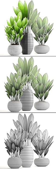 Tropical Palm Grass Collection 3D model image 3