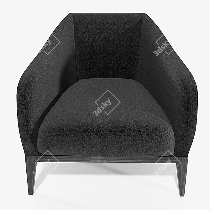 Artists' Choice Armchair 3D model image 2