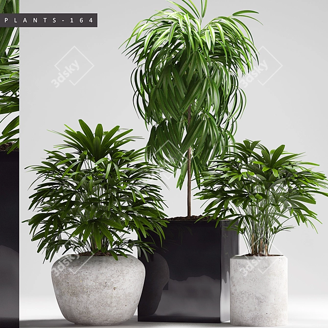 Lush Greenery Collection 3D model image 1